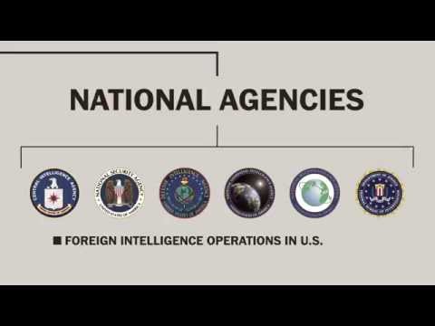 What are the four groups of homeland security intelligence gathering?