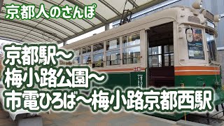 京都人のさんぽ/11月梅小路公園　京都駅八条口～梅小路公園～市電ひろば～京都鉄道博物館～梅小路京都西駅 / Walk around Kyoto / Umekoji