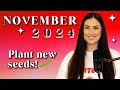 November 2024 Energy | Manifest opportunities by setting NEW intentions