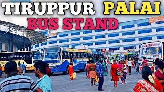 Tiruppur Palai Bus stand || Palai Bus stand Tiruppur || palai Bus stand || Umesh Cg Vlogs