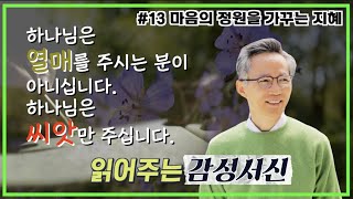 [강준민 목사의 읽어주는 감성서신 #13] 마음의 정원을 가꾸는 지혜