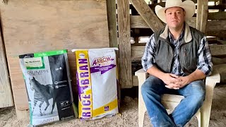 Horse Feeding Program - With RICE BRAN