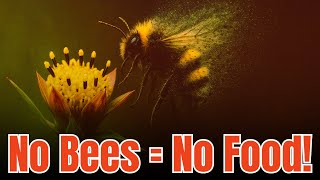 What If Bees Disappeared? The Shocking Truth About Our World Without Bees