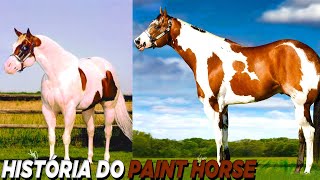 HISTÓRIA DA RAÇA PAINT HORSE