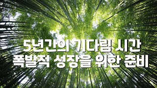 대나무의 5년간 기다림, 폭발적인 성장을 위한 준비 - 동기부여영상