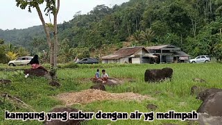 kampung ci Aling, kampung yang indah peloksok Sukabumi