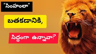 సింహం లాంటి ప్రవర్తన నీకు ఉందా!! #motivational #inspirationalvideo #quotes