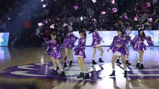 新竹攻城獅-北海道X風城物語-慕獅女孩-Muse Girls-賽前跳青鳥 #cheerleader #新竹攻城獅 #musegirls #慕獅女孩 #tpbl #basketball