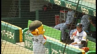 阪神タイガース2017/キー太に癒される、大山選手(2017.06.10)