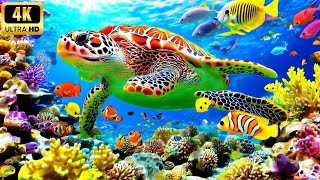 The Best 4K Aquarium - Explore the Stunning World of Sea Jellyfish and Beautiful Coral Reef Fish. #8