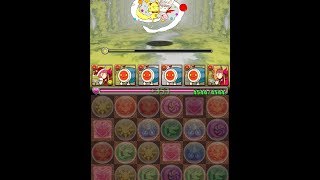 パズドラ 「モーグリの贈り物 一度きりだクポ！」 最強装備・狩人 【サンタ】×最強装備・狩人 8コンボ以上25倍PT