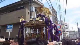 子之神社例祭 宮神輿町内渡御 平成29年6月3日 4