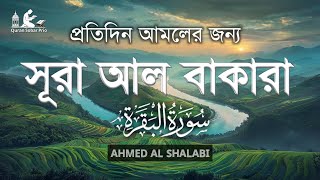 মন জুড়ানো সুন্দর কন্ঠে সূরা আল বাকারা শুনুন। Surah Al Baqarah  By Ahmed Al Shalabi