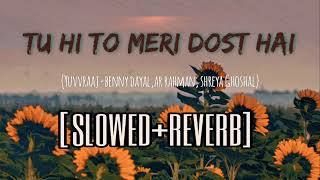 Tu Hi To Meri Dost Hai (slowed+reverb) | Yuvvraaj | Lofimix | Salman Khan | Katrina Kaif | AR Rahman
