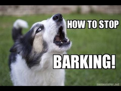 How to TEACH ANY DOG to STOP BARKING Humanely, Effectively, and Naturally! How to TEACH ANY DOG to STOP BARKING Humanely, Effectively, and Naturally!