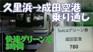 E217系　成田空港行の快速に乗ってみた