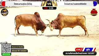 คลิปเต็มคู่ 3 โคลังสาดปานเพชรพิชิตชัย 🆚 โคแดงงามสุริยะ(ไฮโล)