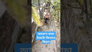 আয়েশার কবলে পড়ে টমেটো গাছের সর্বনাশ#ছাদবাগান #sadbagan