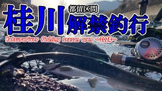 【渓流釣り】待ちに待った桂川(都留区間)解禁は〇〇の嵐だった!!