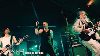 Dogs on the run, live 21.12.2024