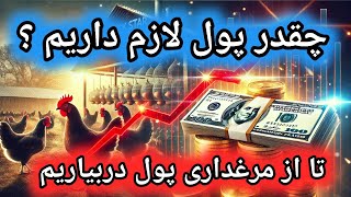 سرمایه مورد نیاز برای راه اندازی مرغداری , آموزش پرورش مرغ بومی , درآمد مرغداری