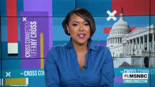 Democratic Pollster Terrance Woodbury on MSNBC's The Cross Connection: Midterms 2022 Part 2