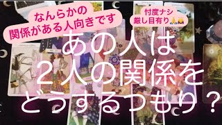 タロット・ルノルマン占い✨　あの人は２人の関係どうするつもり？忖度ナシ・厳しい目有り🙏🙇‍♀️