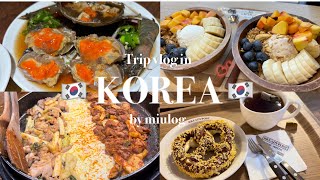 韓国vlog🇰🇷美味しいものをたくさん食べた旅行✈️1人で飛行機も乗れるようになりました🥨☕️🥣🦀🧀