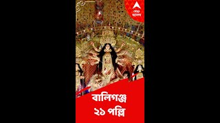 অভিনব ভাবনায় সেজে উঠছে বালিগঞ্জ ২১ পল্লি-র পুজো মণ্ডপ