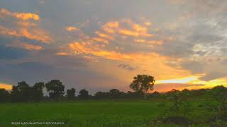 Early Morning | හිමිදිරි උදය