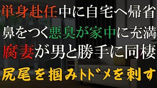 【修羅場 浮気】俺の単身赴任中に自宅で男と同棲を始めたクソ妻にトドメを刺す【睡眠朗読 ASMR】