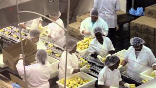 School Lunch Reform with Food Rebel David Binkle, LAUSD.mov