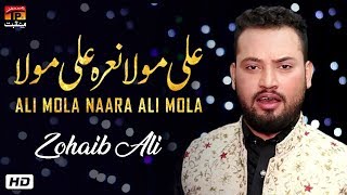 Ali Mola Naara Ali Mola | Zohaib Ali | New Dhamal 2019 | TP Manqabat