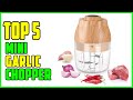 TOP 5 Best Mini Garlic Chopper 2023