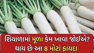 શિયાળામાં મૂળા ખાવાના 8 ફાયદાઓ, Health tips for winter, redis,