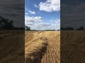 harvesting oats 2019