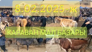 8.02.2025-ж КАРАВАН МАЛ БАЗАРЫ