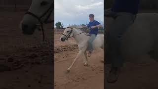 First time Riding a horse bareback