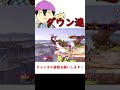 オーソドックスなネスのダウン連【スマブラsp】