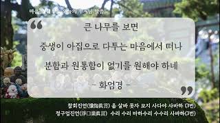 마음을 깨우는 오늘의 부처님말씀. 불기 2569년 1월 26일 화엄경 #부처님 #부처님말씀 #불교 #불경 #석가모니 #아미타불 #관세음보살 #명언 #명상