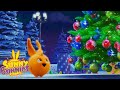 Dreaming of Christmas - Sunny Bunnies | Happy Holidays 🎄 | Cartoons For Kids