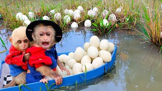 Baby monkey goes boat to collect duck eggs to help dad