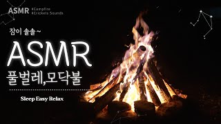 4K 모닥불과 편안한 풀벌레소리 | 늦가을밤 Ambience 캠프파이어 장작타는 소리 8시간