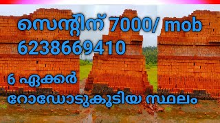 liju wayanad,6 ഏക്കർ സ്ഥലം സെന്റിന് 7000/#wayanad#250