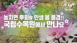 [국립수목원 1분 탐험 4화]   \