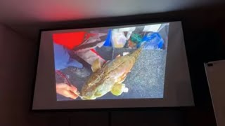 Casting and Trolling for Flathead on Hard body lures seminar live