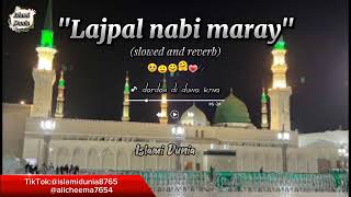 Lajpal nabi maray dardan di dawa krna 🥺/ beautiful naat Kareem #islami #viralvideo #islamicdunia#