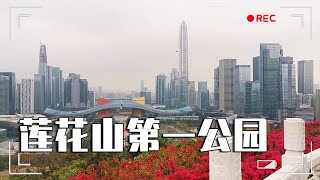 看看深圳的第一高楼，这位置可不得了，在深圳最核心的地方！【大海去旅行】