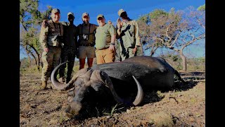 GREAT BUFFALO AND PLAINS GAME HUNTING WITH CHICO \u0026 SONS / TSESSEBE SAFARIS