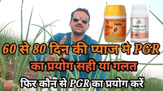 प्याज मे 60 से 80 दिन मे PGR का प्रयोग सही या गलत।कोन से pgr का प्रयोग सही।@प्याज की उन्नत खेती